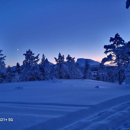Malangen Lodge Mestervik Eksteriør bilde