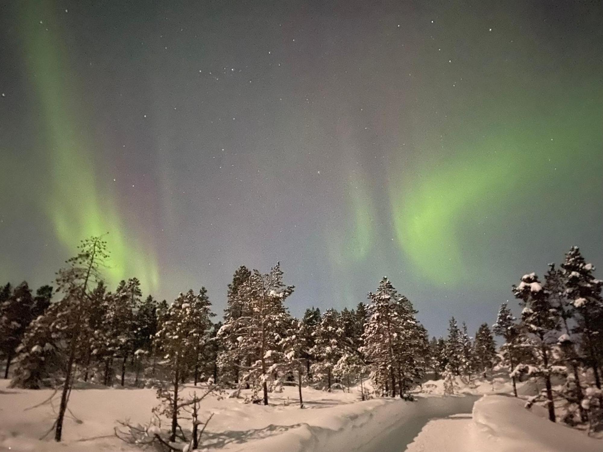 Malangen Lodge Mestervik Eksteriør bilde