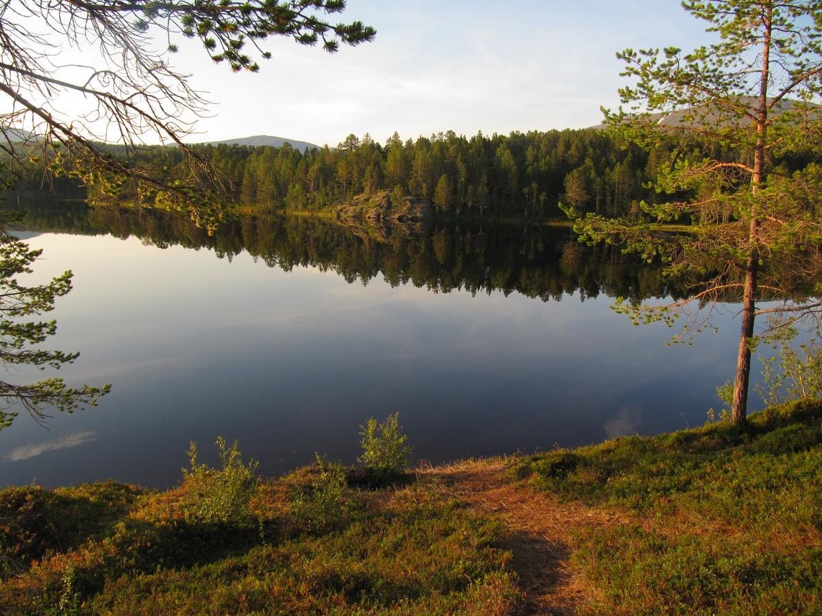 Malangen Lodge Mestervik Eksteriør bilde