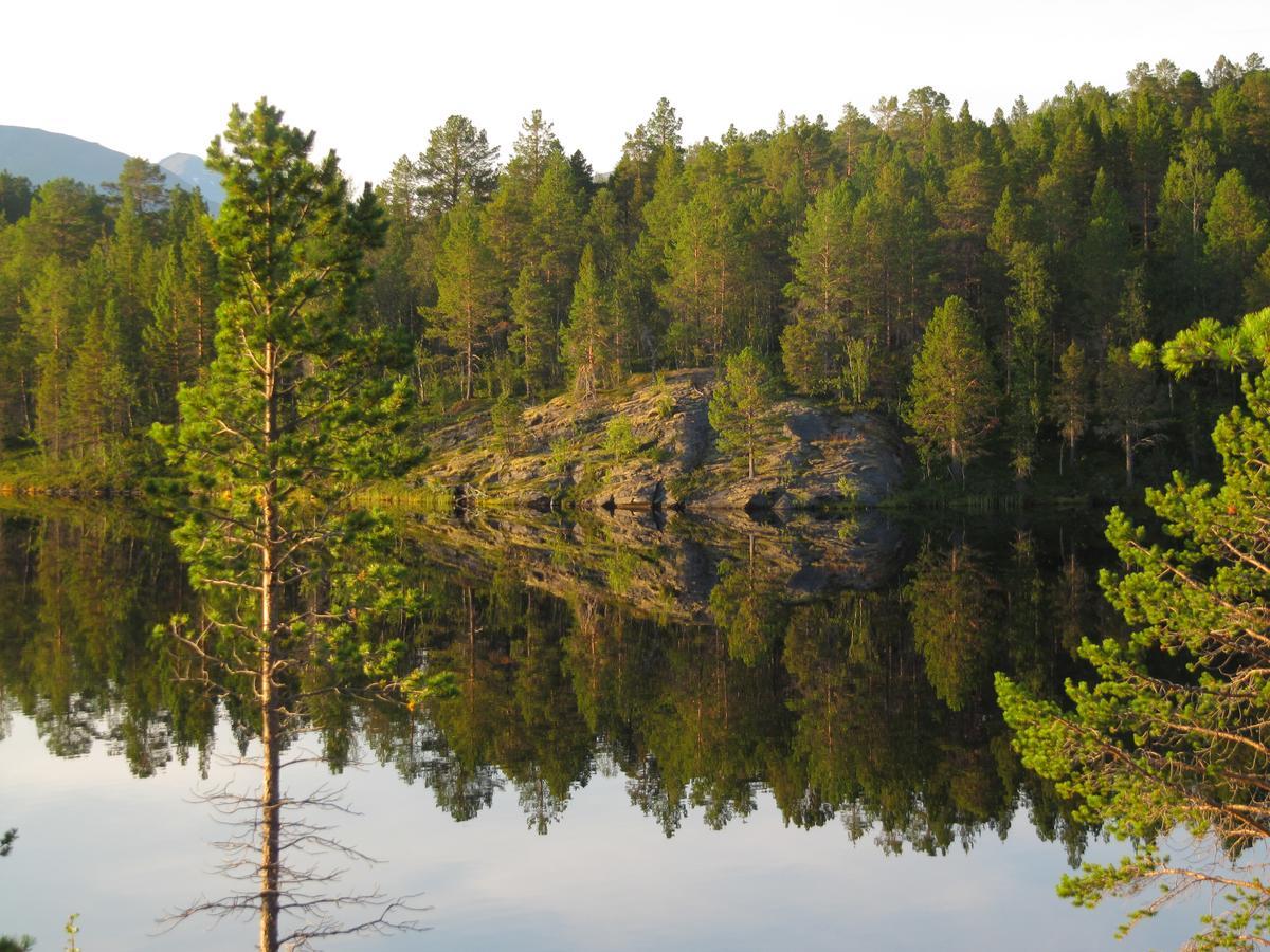 Malangen Lodge Mestervik Eksteriør bilde