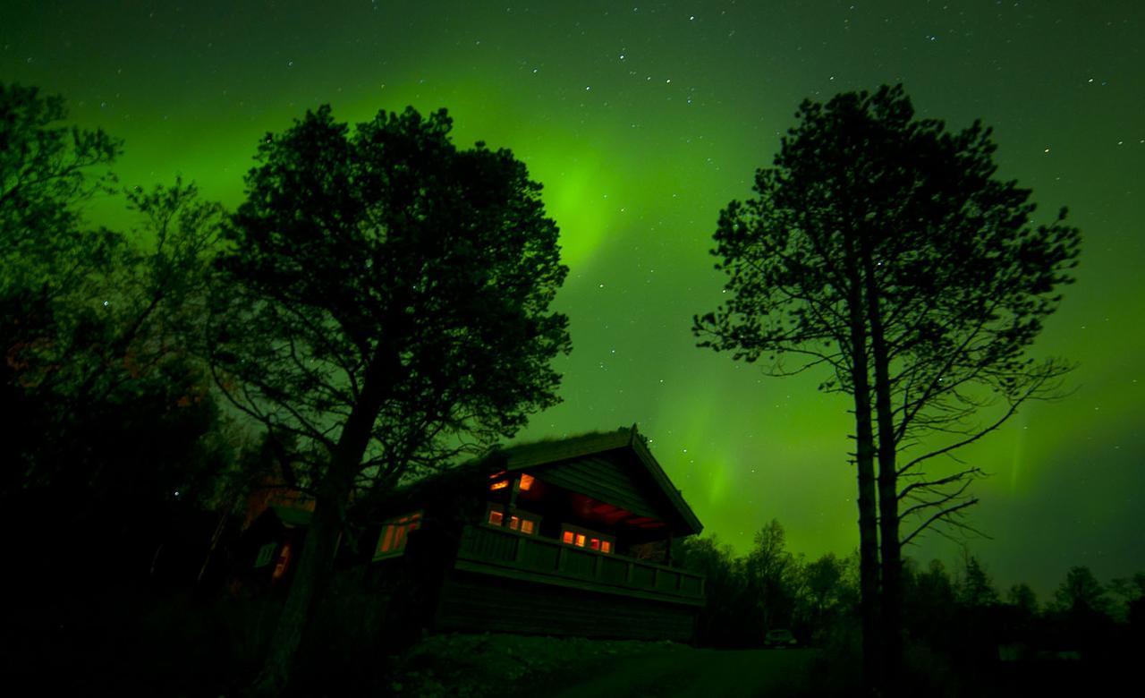 Malangen Lodge Mestervik Eksteriør bilde