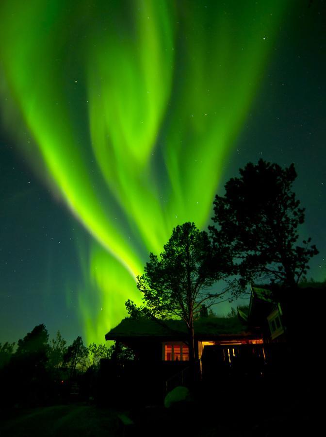 Malangen Lodge Mestervik Eksteriør bilde