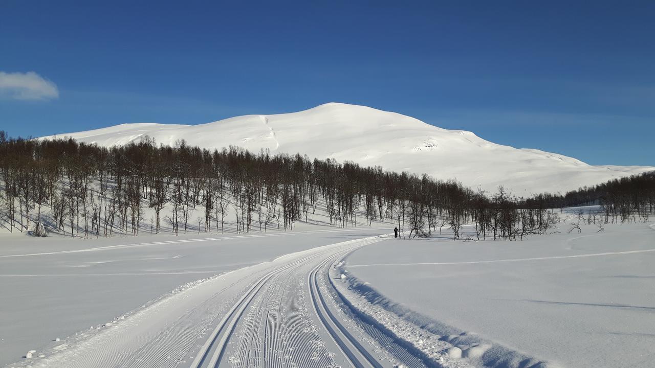 Malangen Lodge Mestervik Eksteriør bilde