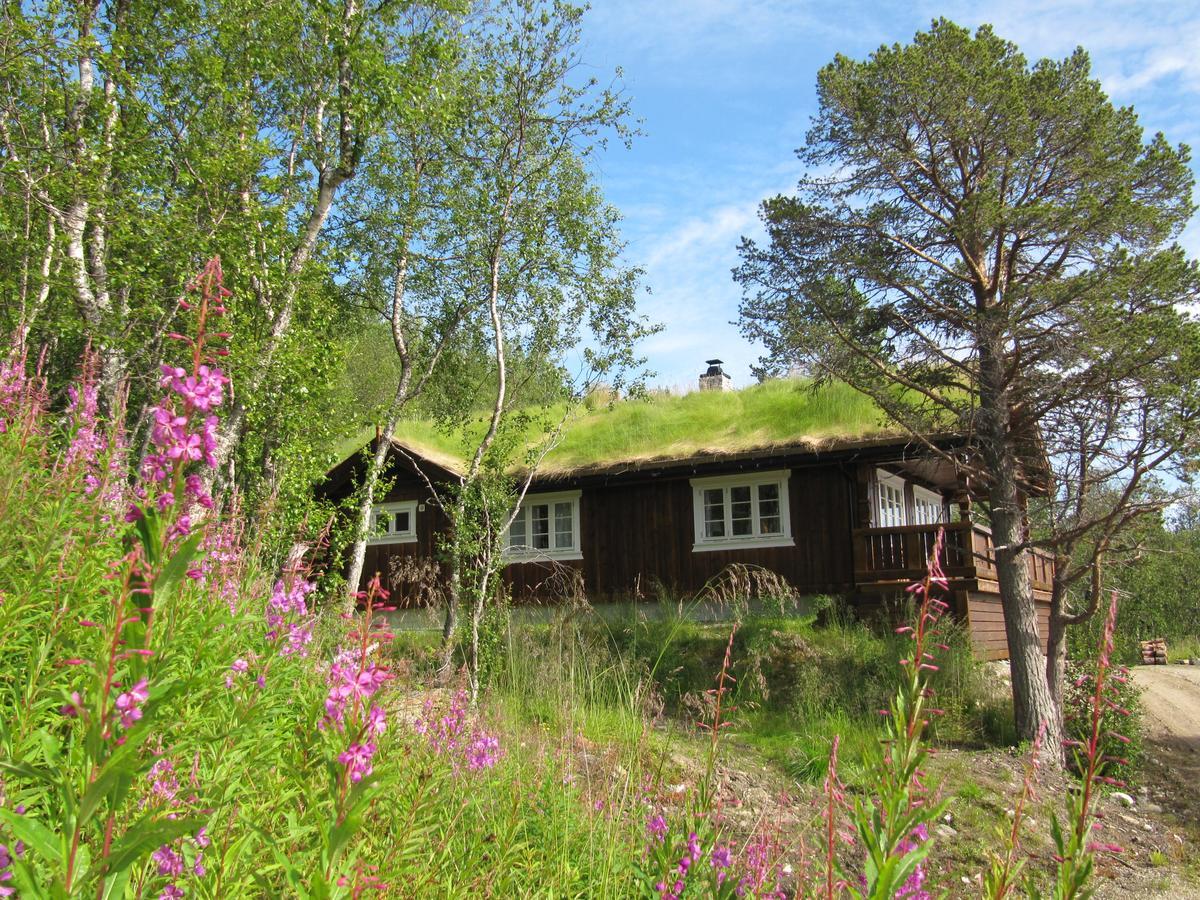 Malangen Lodge Mestervik Eksteriør bilde